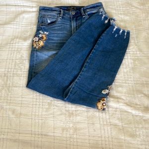 Embroidered Skinny Jeans